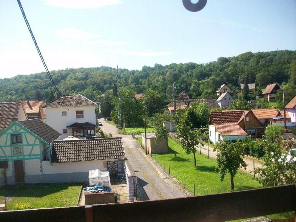 Gite Le Jardin De Hermolsheim. Alsace Tres Spacieux Mutzig Esterno foto