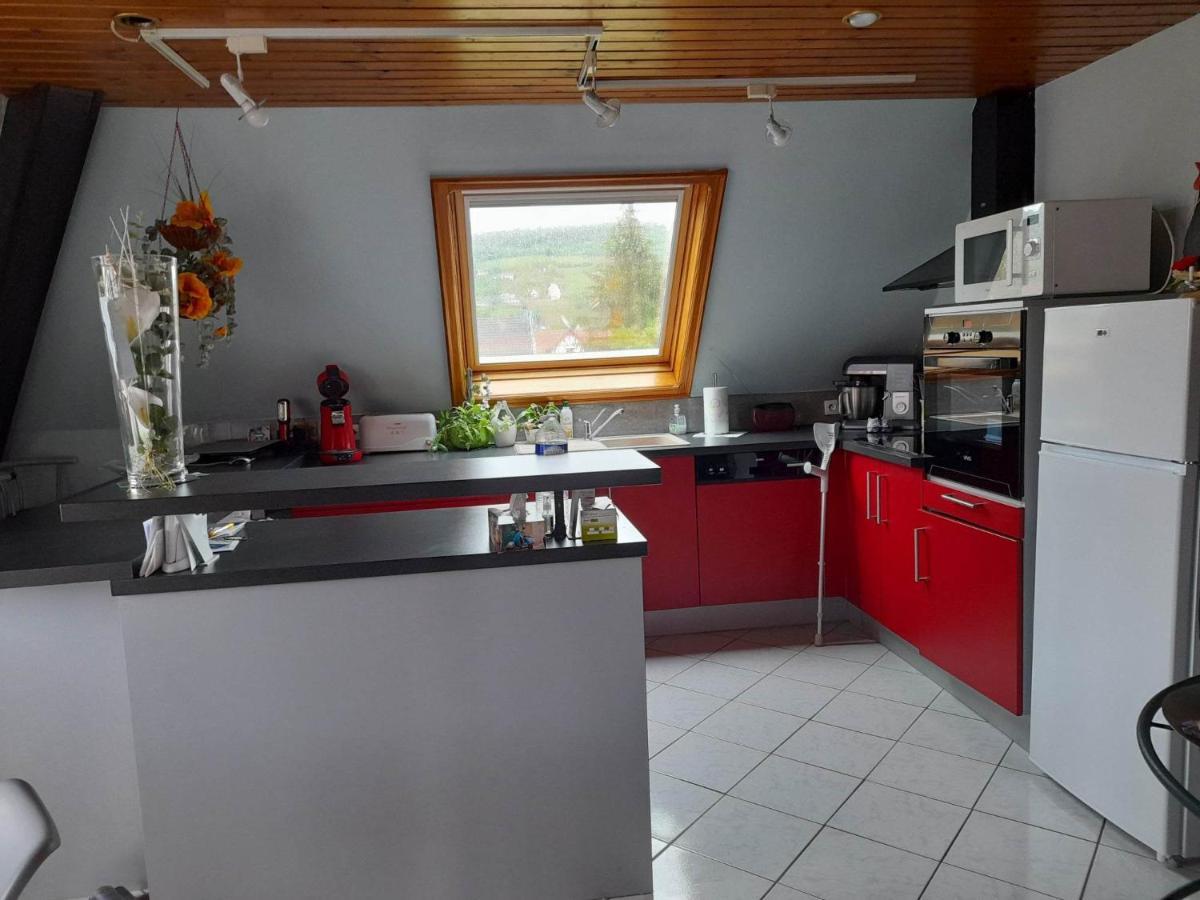 Gite Le Jardin De Hermolsheim. Alsace Tres Spacieux Mutzig Esterno foto