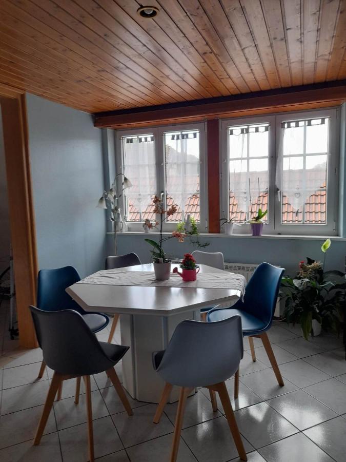 Gite Le Jardin De Hermolsheim. Alsace Tres Spacieux Mutzig Esterno foto