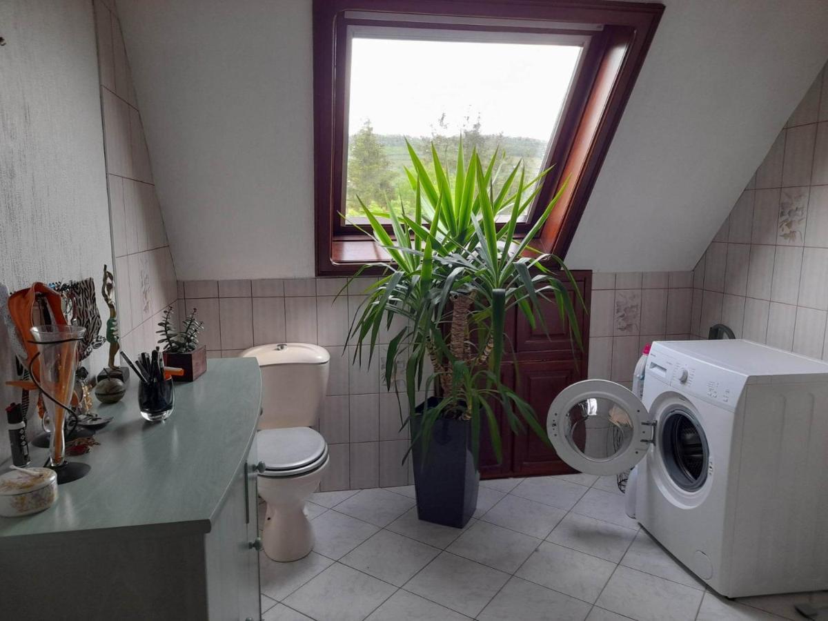 Gite Le Jardin De Hermolsheim. Alsace Tres Spacieux Mutzig Esterno foto