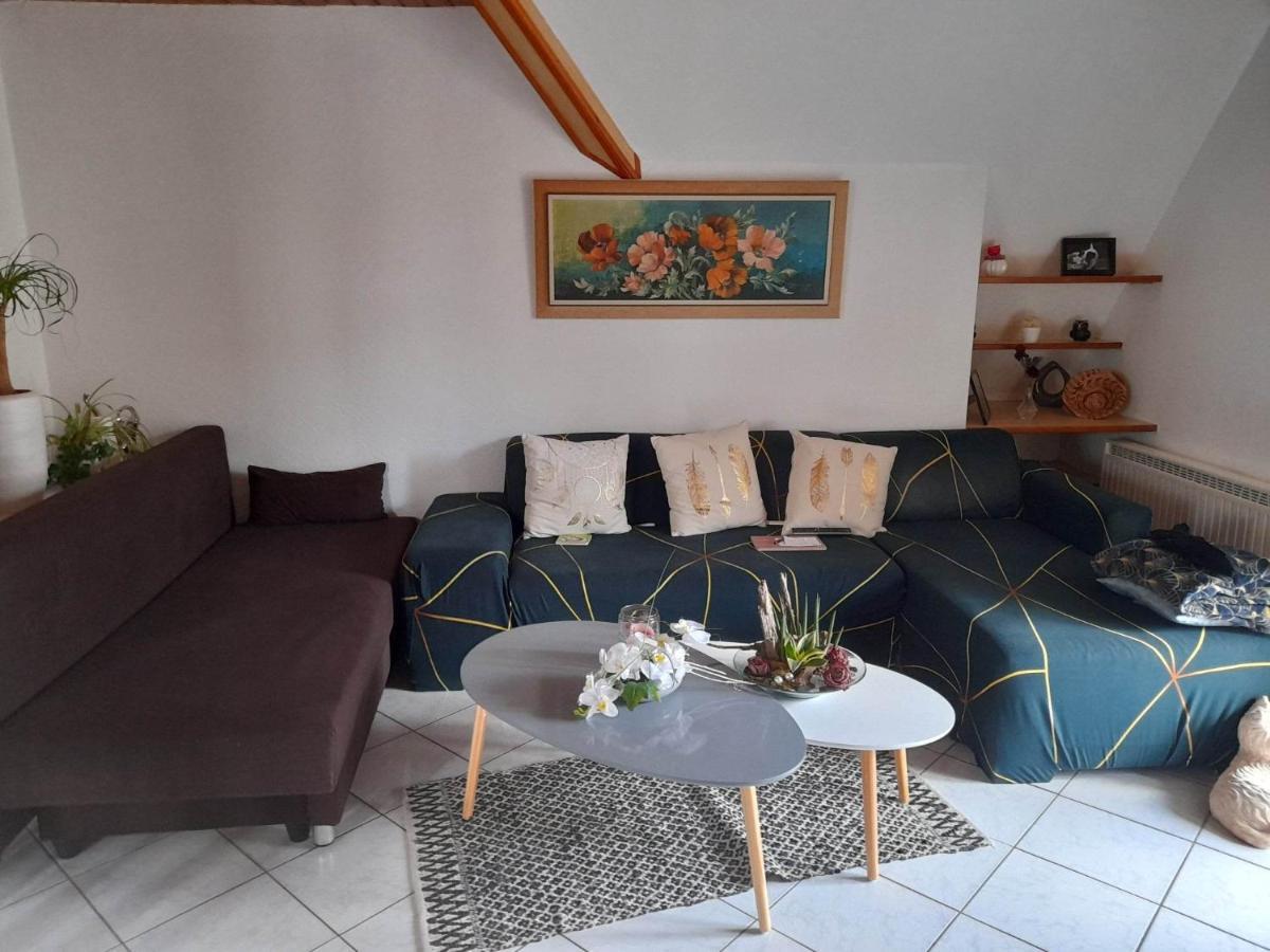 Gite Le Jardin De Hermolsheim. Alsace Tres Spacieux Mutzig Esterno foto